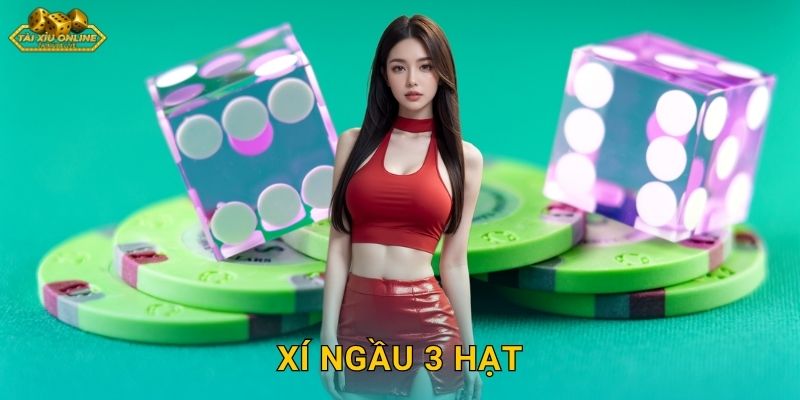 Xí Ngầu 3 Hạt – Game Độc Đáo Chỉ Có Tại Tài Xỉu Online
