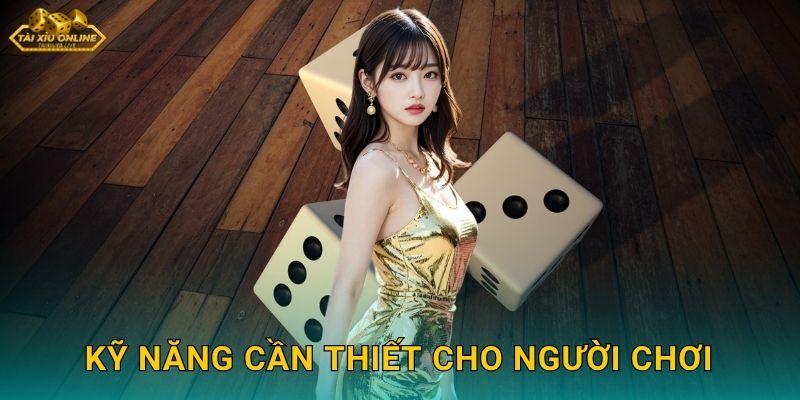Tài Xỉu 1 Phút Tốc Độ - Cơ Hội Vàng Tại Tài xỉu online 3 Kỹ năng cần thiết cho người chơi
