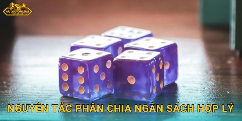 Nguyên Tắc Phân Chia Ngân Sách Hợp Lý