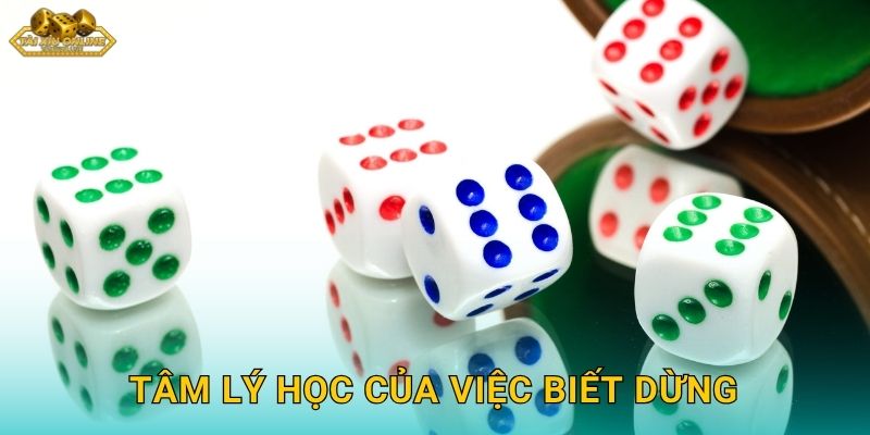 Tâm Lý Học Của Việc Biết Dừng